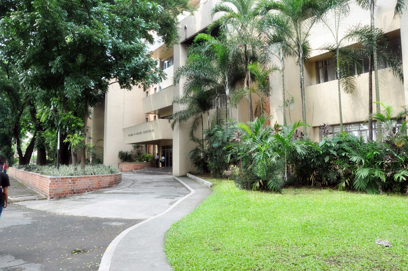 UPD tops Oct 2016 CPA Exam - University of the Philippines Diliman