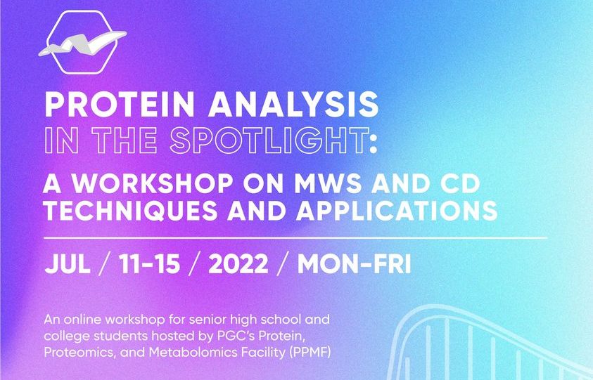 Protein Analysis in the Spotlight: A Workshop on MWS and CD Techniques and Applications