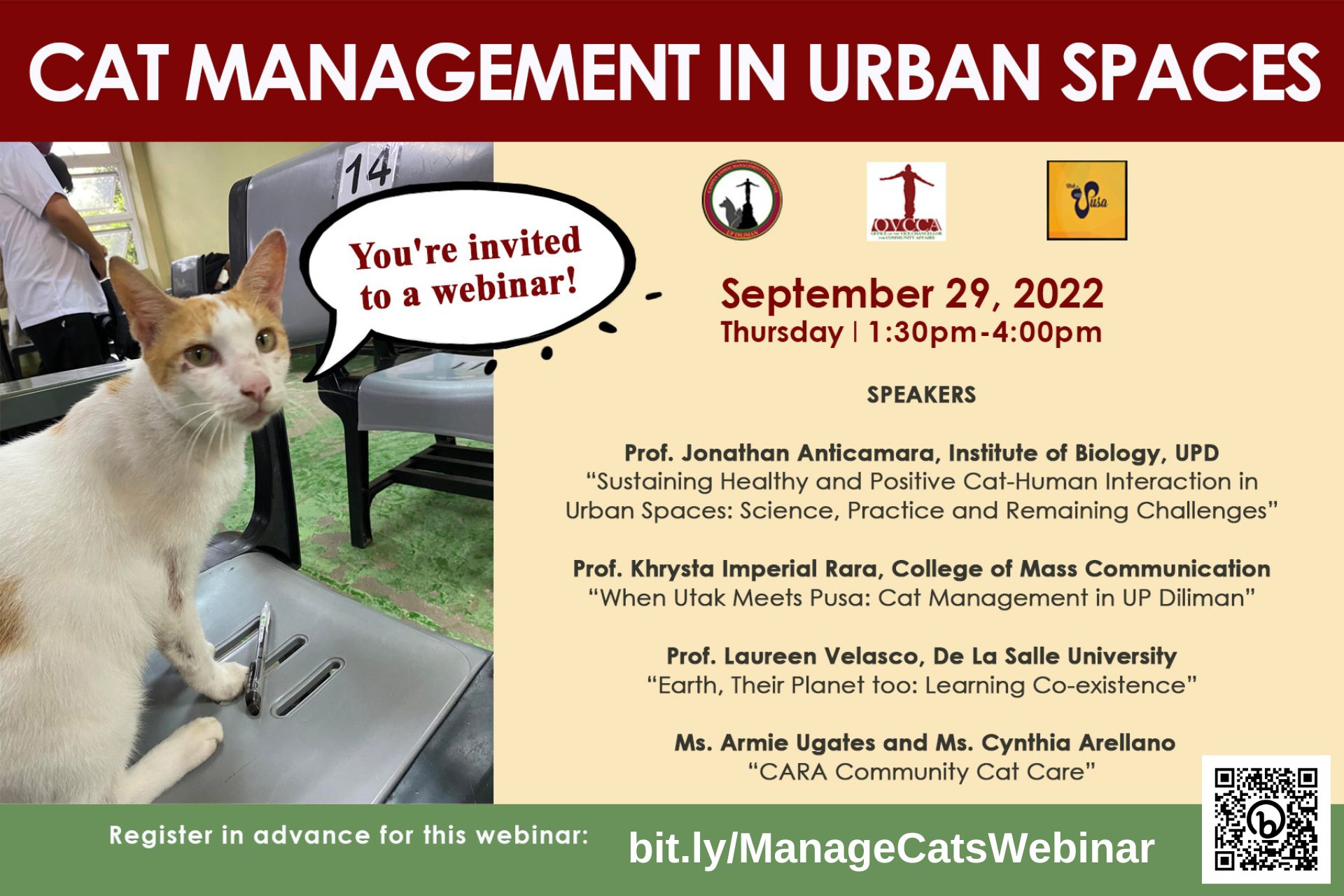 Cat Management in Urban Spaces