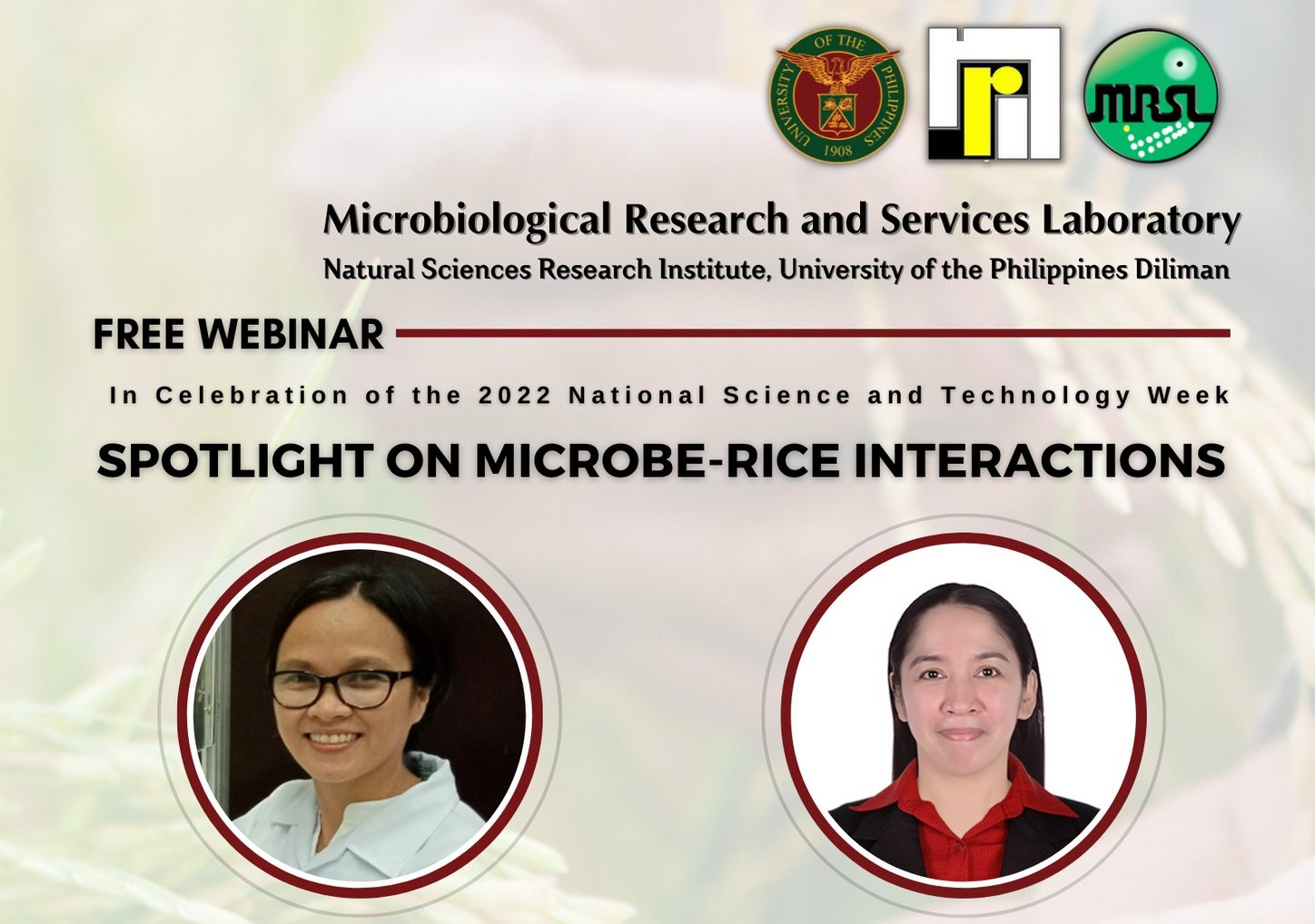 MRSL Webinar: Spotlight on Microbe-Rice Interactions