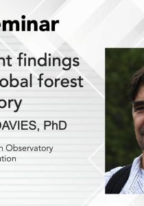 Key Recent Findings From a Global Forest Observatory