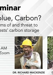 Why So Blue, Carbon? The Mechanisms of and Threat to Mangrove Forests’ Carbon Storage