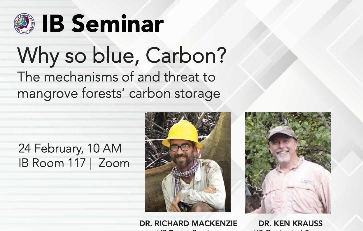 Why So Blue, Carbon? The Mechanisms of and Threat to Mangrove Forests’ Carbon Storage