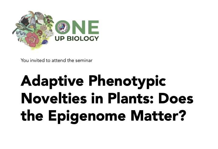 Adaptive Phenotypic Novelties in Plants: Does the Epigenome Matter?