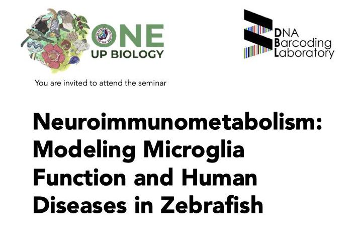 Neuroimmunometabolism: Modeling Microglia Function and Human Diseases in Zebrafish