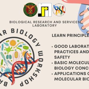 Basic Molecular Biology Workshop 2023