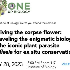 Reviving the Corpse Flower: Unraveling the Enigmatic Biology of the Iconic Plant Parasite Rafflesia for Ex Situ Conservation