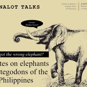 Binalot Talks: You’ve Got the Wrong Elephant? Updates on Elephants and Stegodons of the Philippines