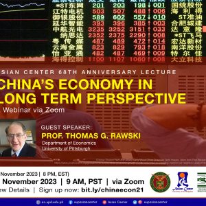 China’s Economy in Long Term Perspective