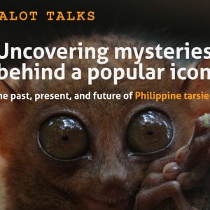 Uncovering Mysteries Behind a Popular Icon: The Past, Present, and Future of Philippine Tarsiers