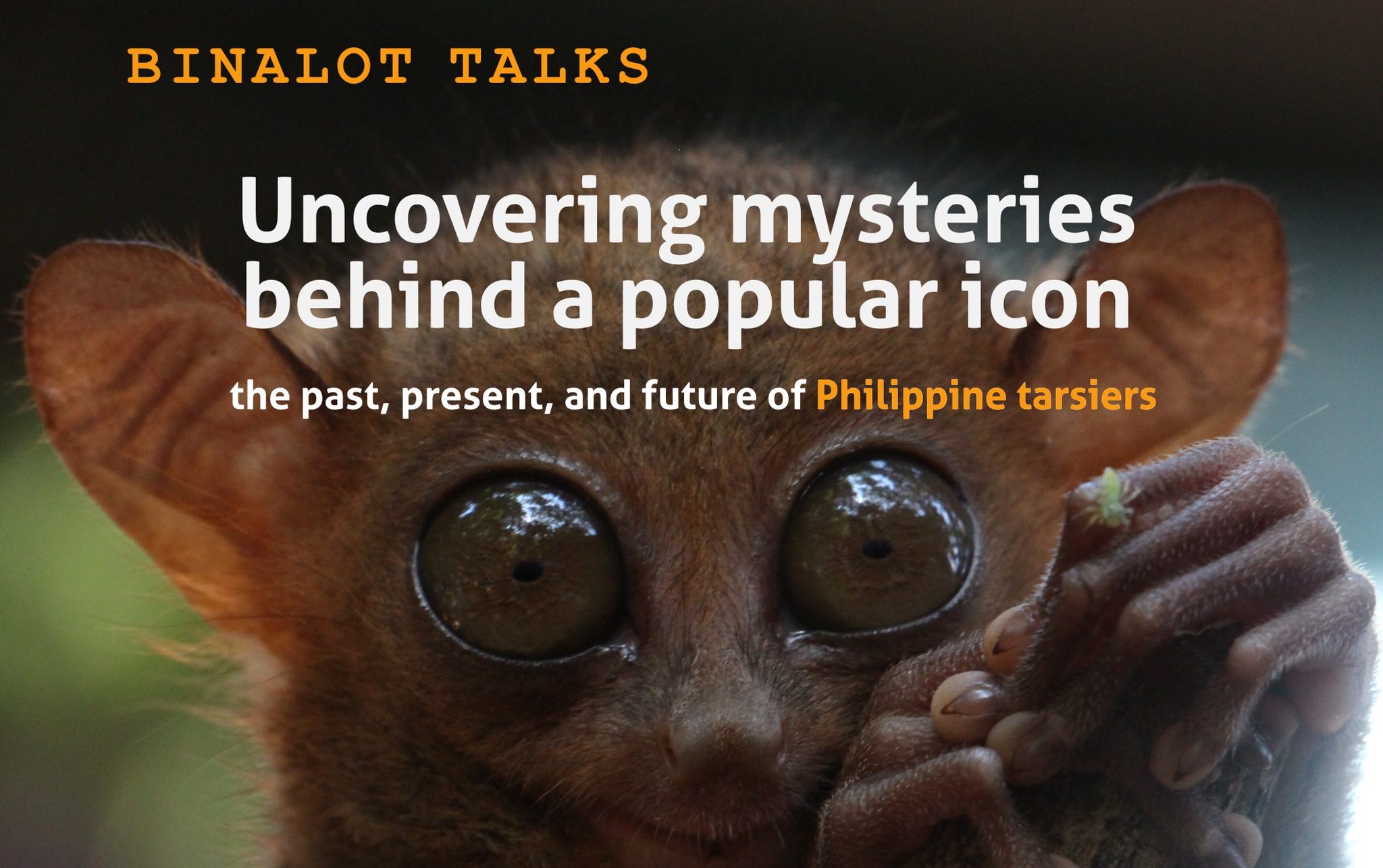 Uncovering Mysteries Behind a Popular Icon: The Past, Present, and Future of Philippine Tarsiers