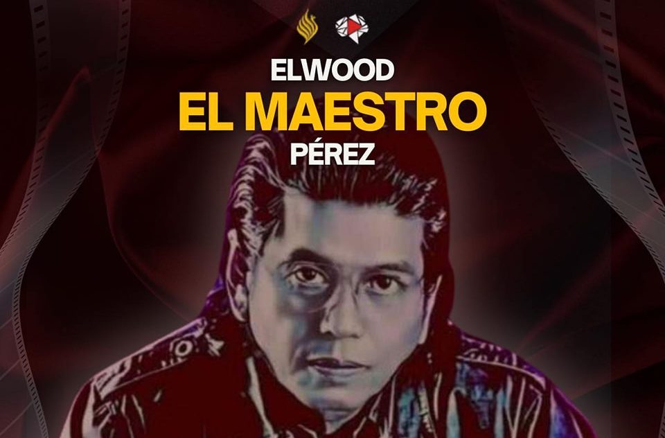 Elwood Perez Masterclass in Actual Filmmaking