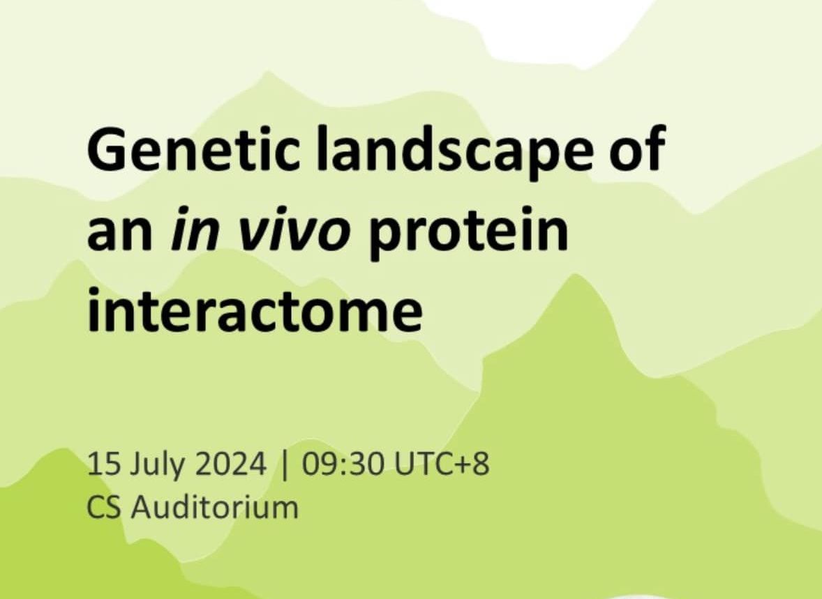 Genetic Landscape of an In Vivo Protein Interactome