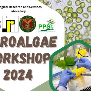 Microalgae Workshop 2024