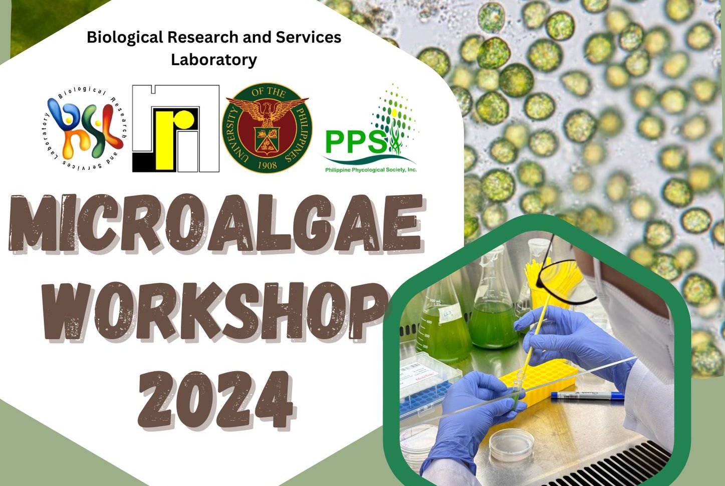 Microalgae Workshop 2024