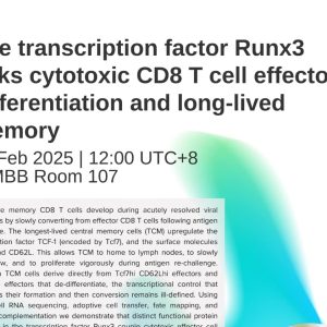 The Transcription Factor Runx3 Links Cytotoxic CD8 T Cell Effector Differentiation and Long-lived Memory