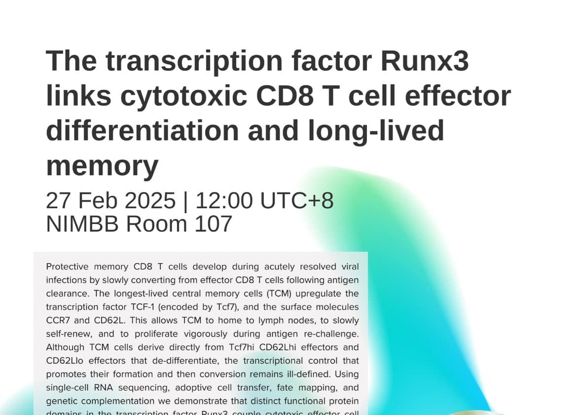 The Transcription Factor Runx3 Links Cytotoxic CD8 T Cell Effector Differentiation and Long-lived Memory