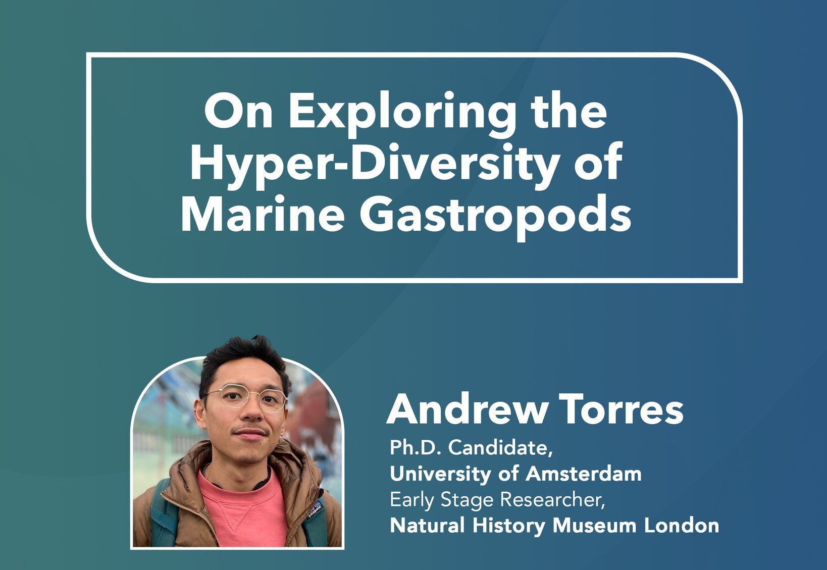 On Exploring the Hyper-Diversity of Marine Gastropods