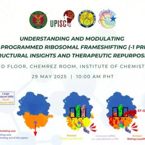 Understanding and Modulating -1 Programmed Ribosomal Frameshifting (-1 PRF): Structural Insights and Therapeutic Repurposing