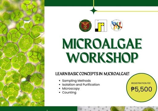 Microalgae Workshop