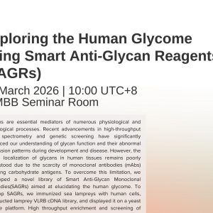 Exploring Human Glycome Using Smart Anti-Glycan Reagents (SAGRs)